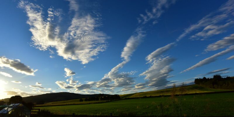 A bright blue sky with dramatic white clouds above a green field of grass.